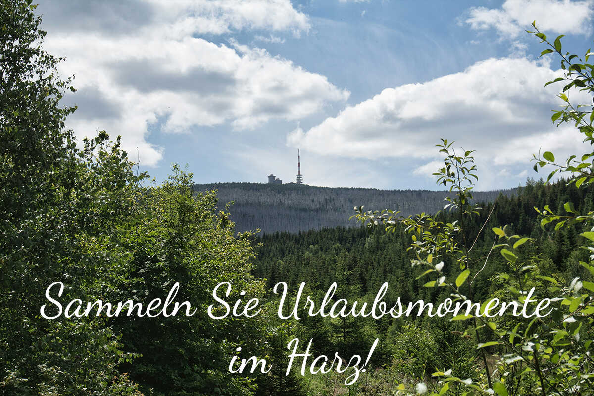 Sammeln Sie Urlaubsmomente im Harz!