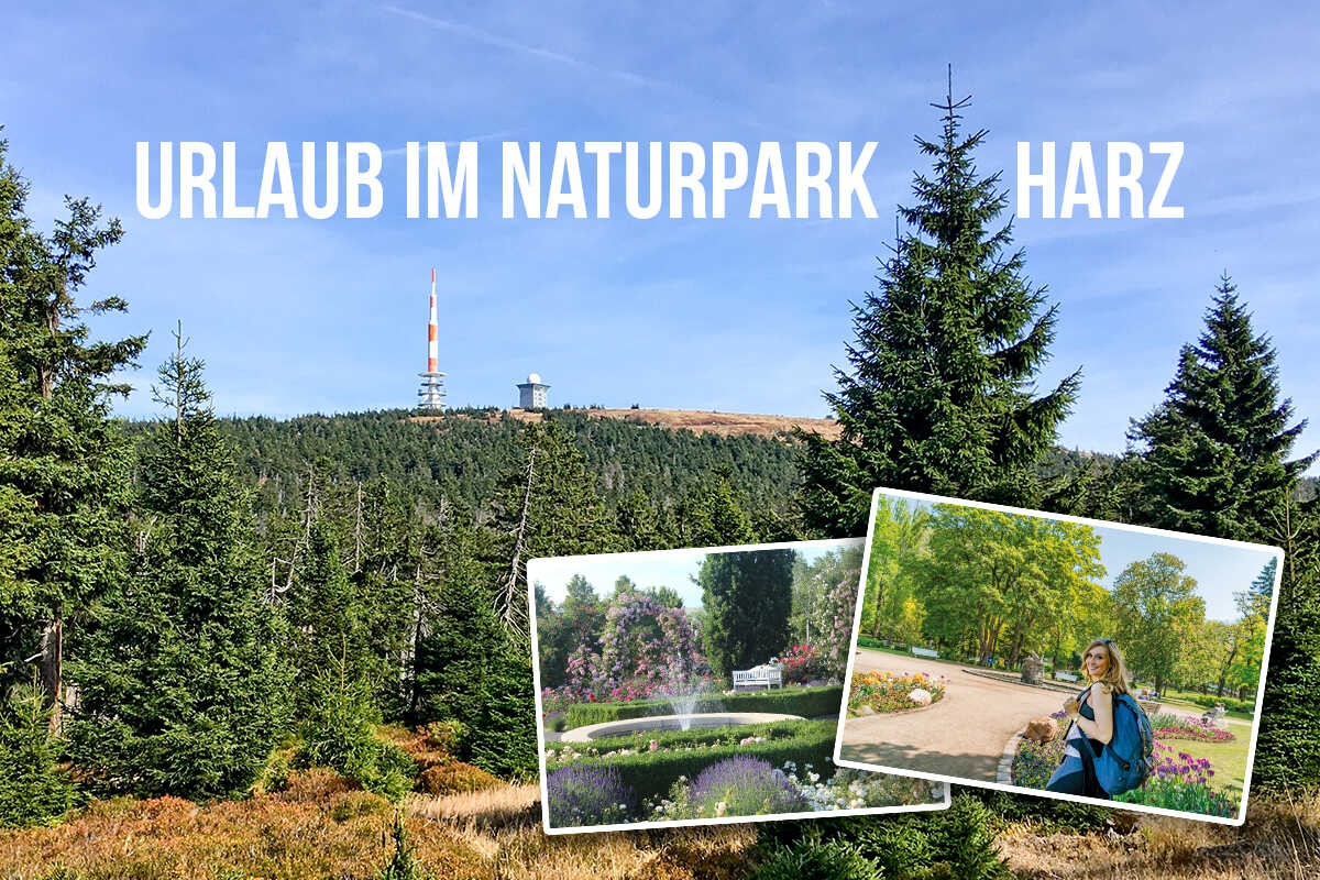 Urlaub im Harz = Urlaub in purer Natur