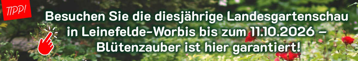 Landesgartenschau in Leinefelde-Worbis 
