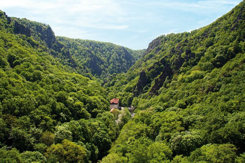 Harz