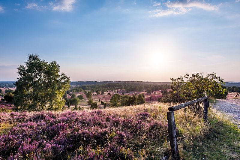 Lüneburger Heide