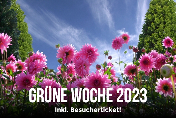 Jetzt buchen!
