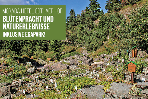 Unser Tipp!