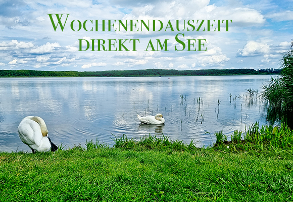 Jetzt buchen!