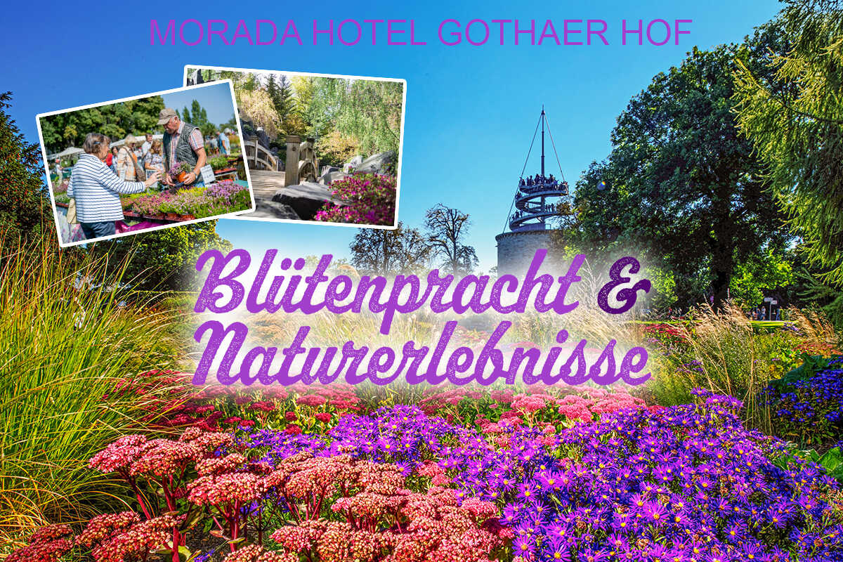 Blumige Gr&uuml;&szlig;e auf dem sch&ouml;nen Gotha