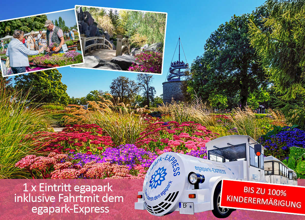 Wir w&uuml;nschen Ihnen ein blumiges September-Wochenende!
