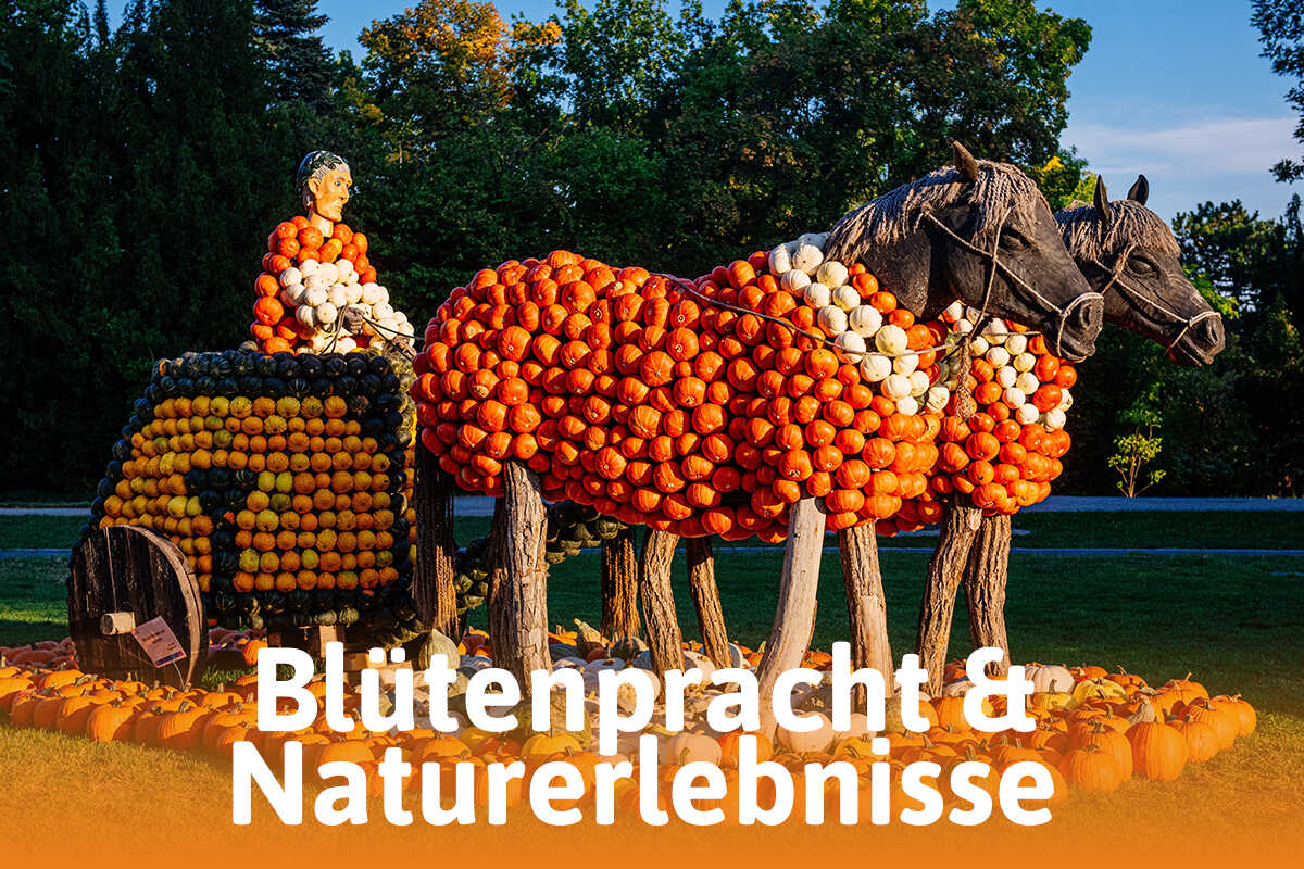 Hier wartet ein Erlebnis f&uuml;r alle Sinne