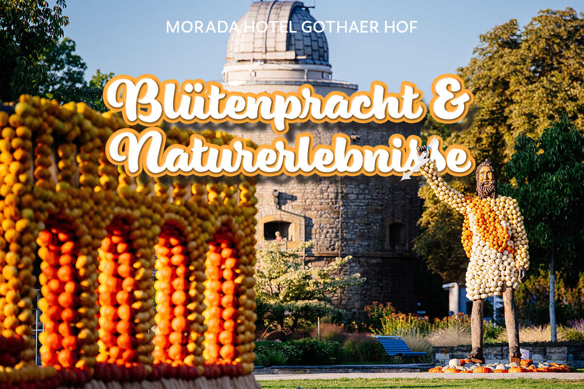 Die Natur erleben, den Herbst genie&szlig;en