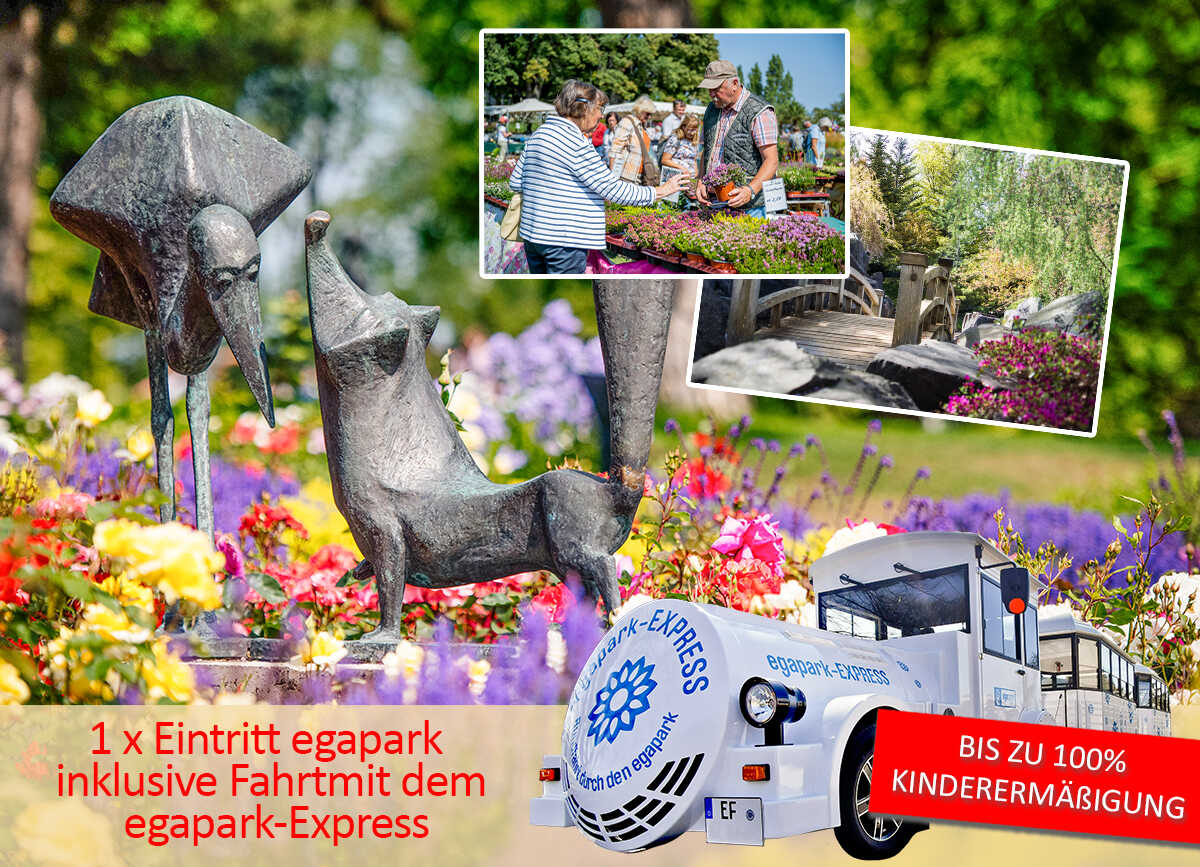 Erfurt erleben: DomStufen-Festspiele & egapark