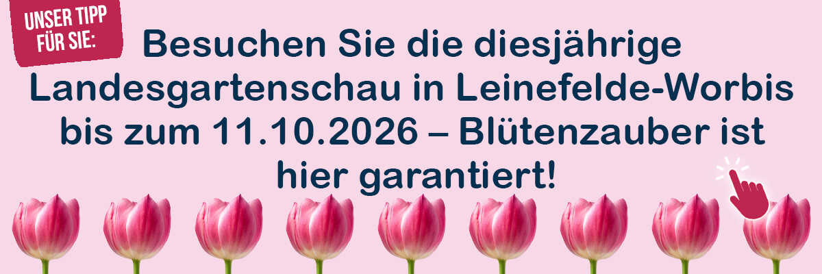 Bl&uuml;tenzauber